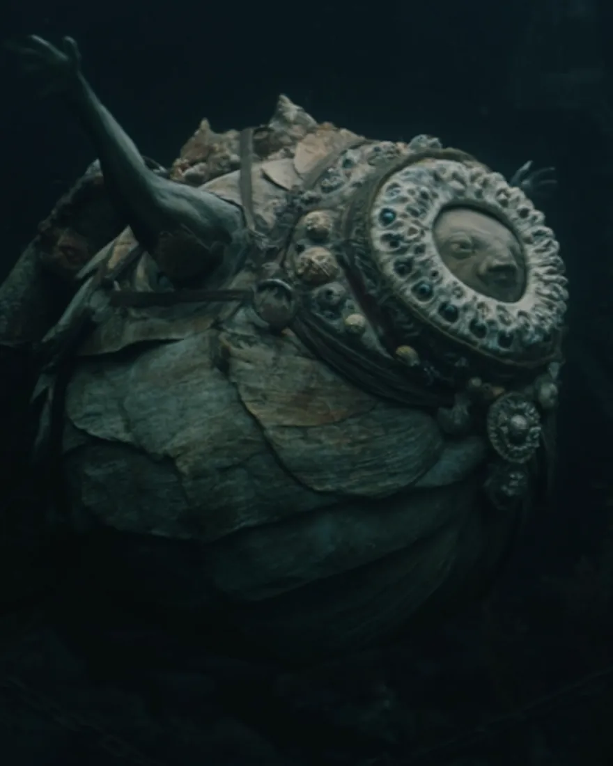 A Hof adrift in the dark water, rotund under its natural shell armour, the band of white eye running right around the skull and studded with pupils.
