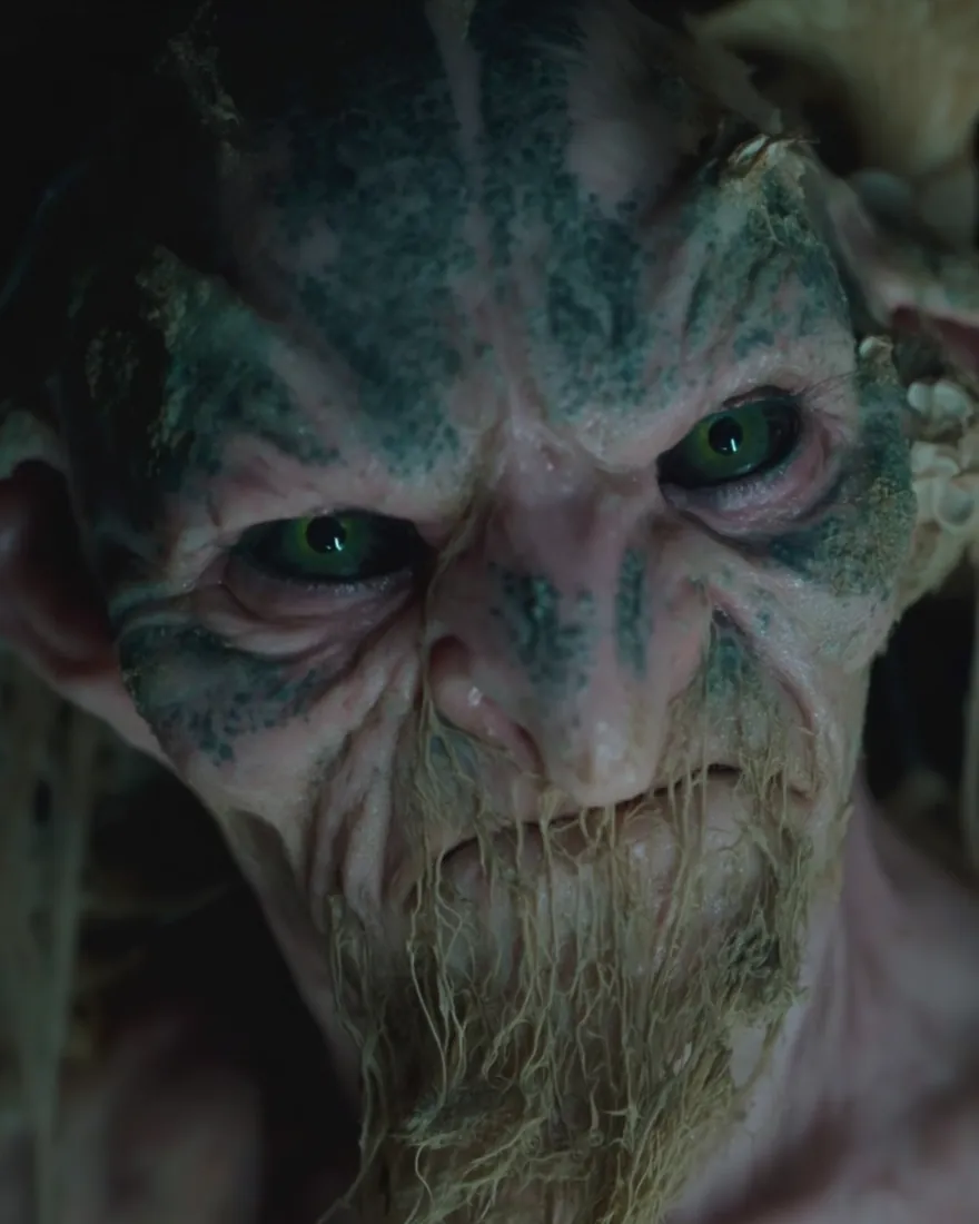 A Gourmun out of the dark, pale pink freckled green-blue, green-black eyes above a wet stringy beard.